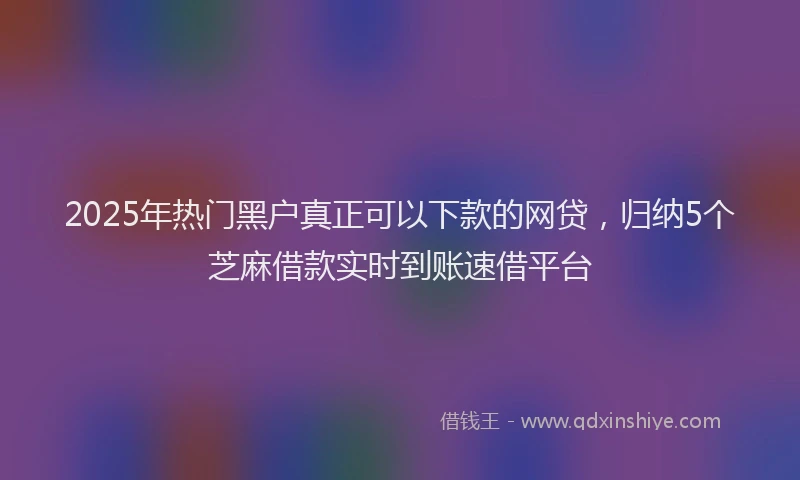 2025年热门黑户真正可以下款的网贷，归纳5个芝麻借款实时到账速借平台