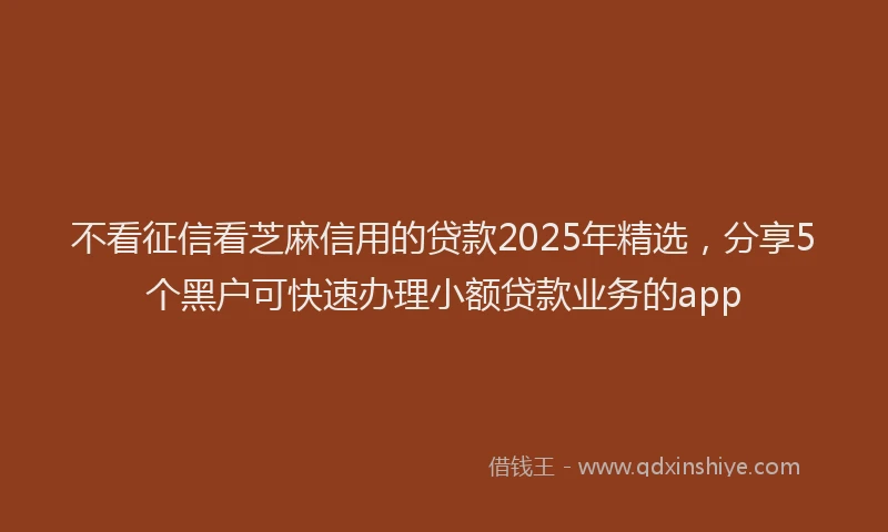 不看征信看芝麻信用的贷款2025年精选，分享5个黑户可快速办理小额贷款业务的app