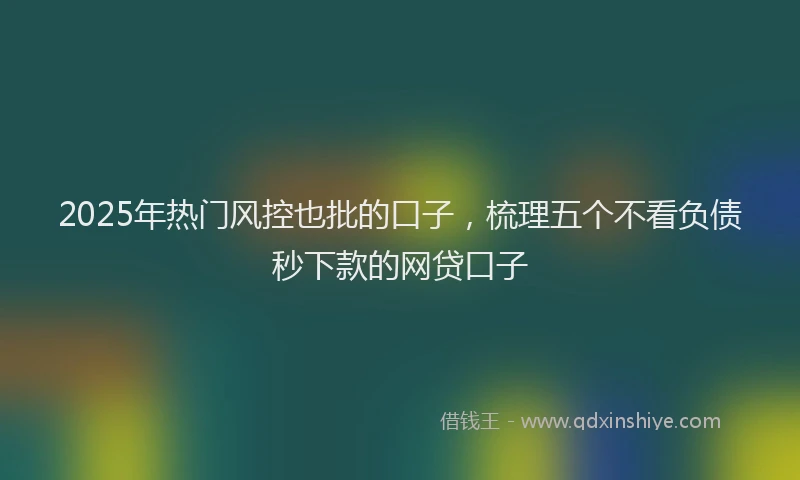 2025年热门风控也批的口子，梳理五个不看负债秒下款的网贷口子