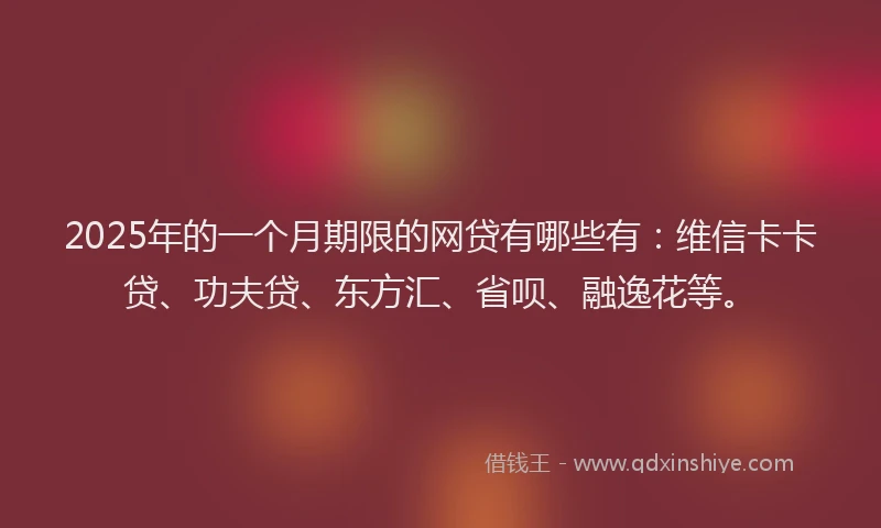 2025年的一个月期限的网贷有哪些有：维信卡卡贷、功夫贷、东方汇、省呗、融逸花等。