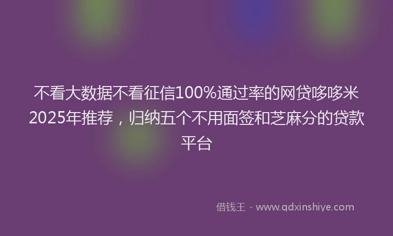 不看大数据不看征信100%通过率的网贷哆哆米2025年推荐，归纳五个不用面签和芝麻分的贷款平台