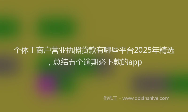 个体工商户营业执照贷款有哪些平台2025年精选，总结五个逾期必下款的app
