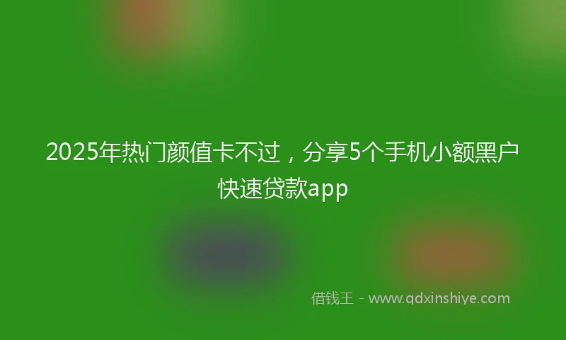 2025年热门颜值卡不过，分享5个手机小额黑户快速贷款app