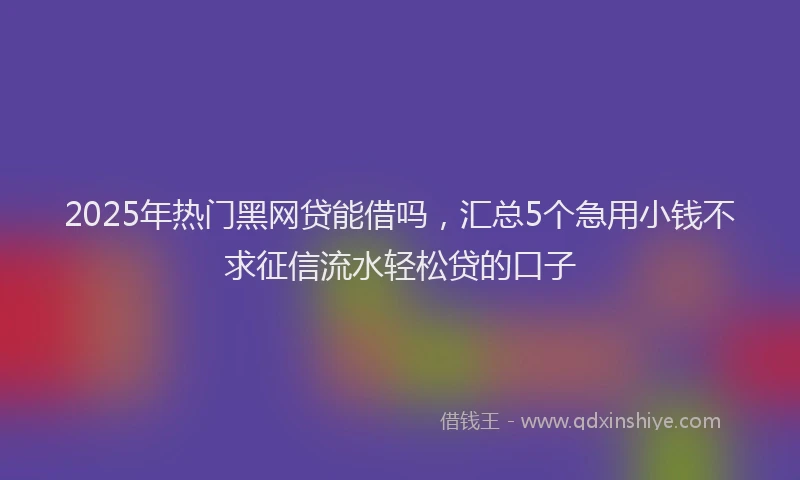 2025年热门黑网贷能借吗，汇总5个急用小钱不求征信流水轻松贷的口子