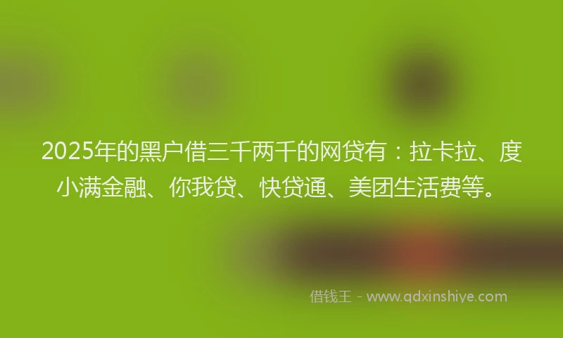 2025年的黑户借三千两千的网贷有：拉卡拉、度小满金融、你我贷、快贷通、美团生活费等。