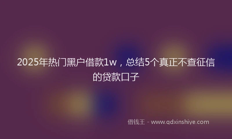 2025年热门黑户借款1w，总结5个真正不查征信的贷款口子