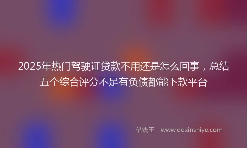 2025年热门驾驶证贷款不用还是怎么回事，总结五个综合评分不足有负债都能下款平台