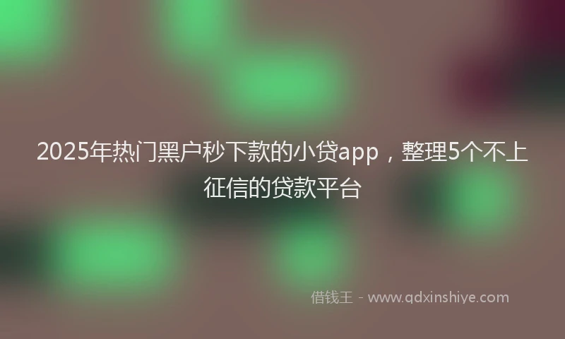 2025年热门黑户秒下款的小贷app，整理5个不上征信的贷款平台