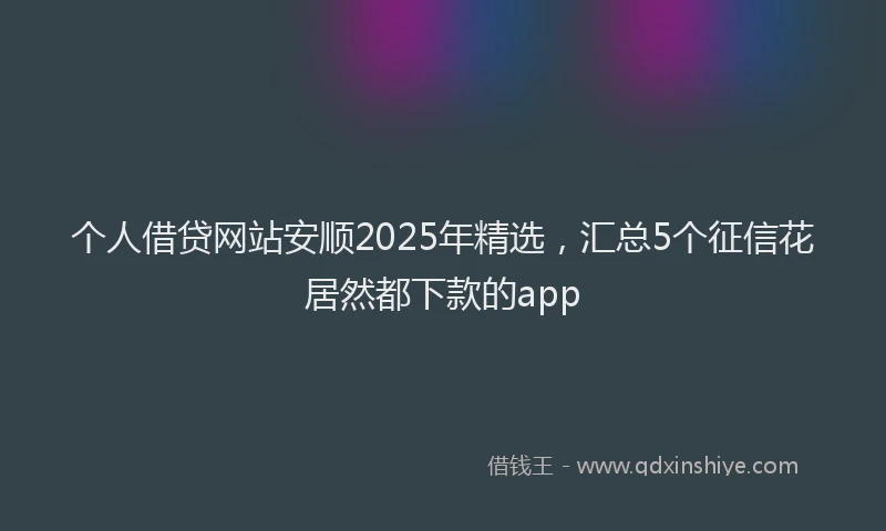 个人借贷网站安顺2025年精选，汇总5个征信花居然都下款的app