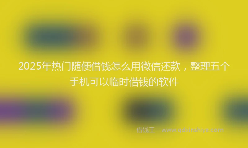 2025年热门随便借钱怎么用微信还款，整理五个手机可以临时借钱的软件