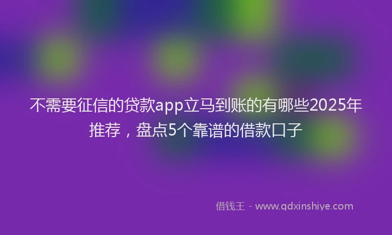 不需要征信的贷款app立马到账的有哪些2025年推荐，盘点5个靠谱的借款口子