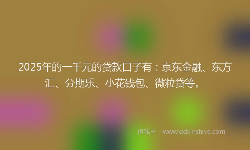 2025年的一千元的贷款口子有：京东金融、东方汇、分期乐、小花钱包、微粒贷等。
