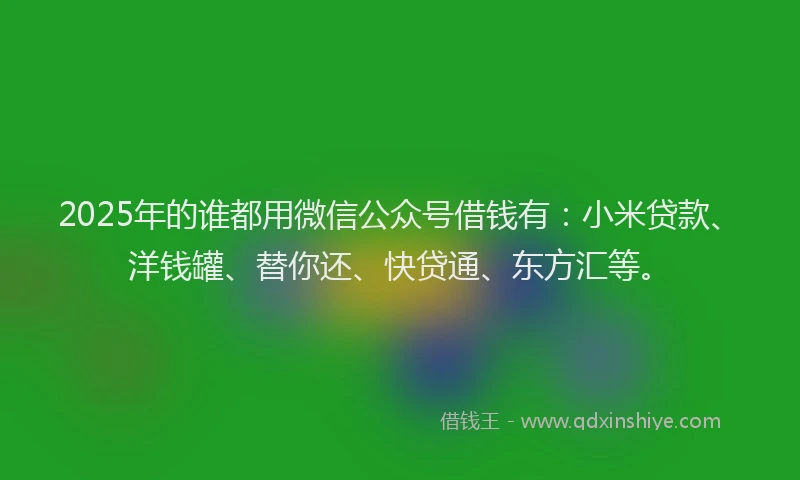 2025年的谁都用微信公众号借钱有：小米贷款、洋钱罐、替你还、快贷通、东方汇等。
