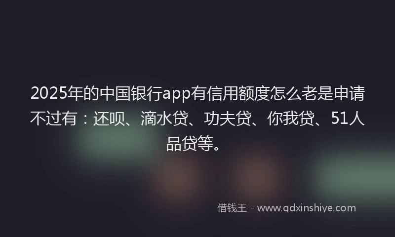 2025年的中国银行app有信用额度怎么老是申请不过有：还呗、滴水贷、功夫贷、你我贷、51人品贷等。