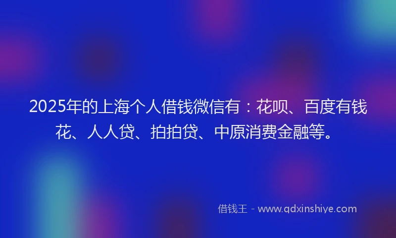 2025年的上海个人借钱微信有：花呗、百度有钱花、人人贷、拍拍贷、中原消费金融等。