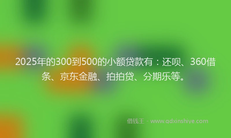 2025年的300到500的小额贷款有：还呗、360借条、京东金融、拍拍贷、分期乐等。