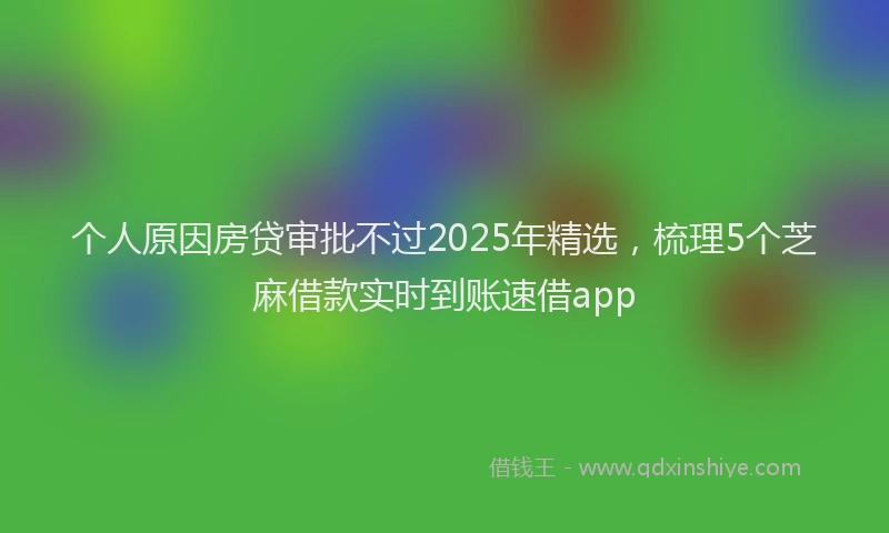 个人原因房贷审批不过2025年精选，梳理5个芝麻借款实时到账速借app