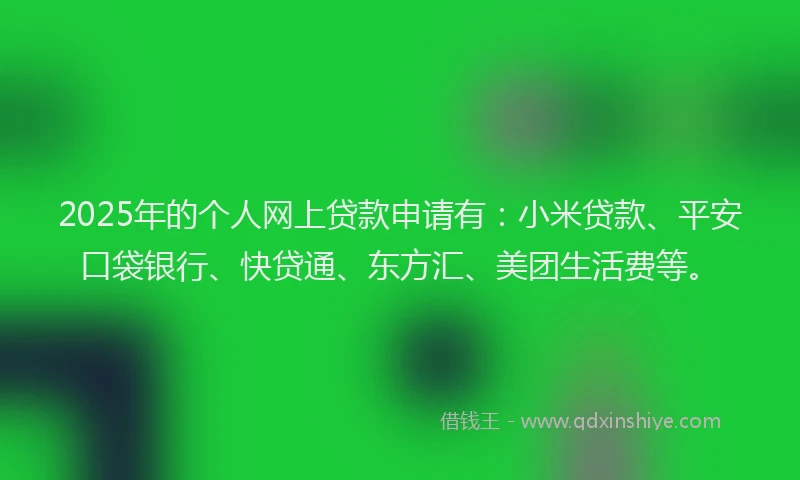 2025年的个人网上贷款申请有：小米贷款、平安口袋银行、快贷通、东方汇、美团生活费等。