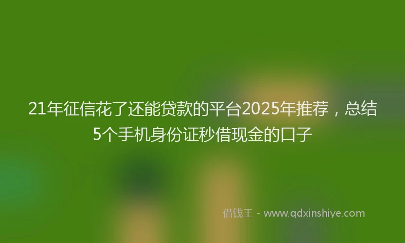 21年征信花了还能贷款的平台2025年推荐，总结5个手机身份证秒借现金的口子