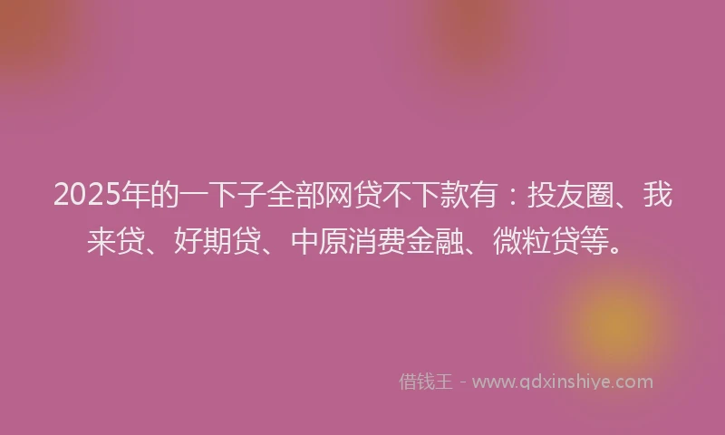 2025年的一下子全部网贷不下款有：投友圈、我来贷、好期贷、中原消费金融、微粒贷等。