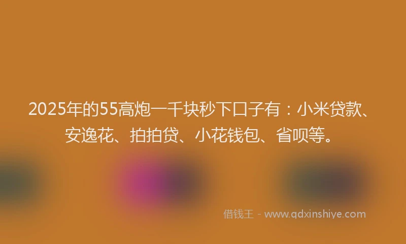 2025年的55高炮一千块秒下口子有：小米贷款、安逸花、拍拍贷、小花钱包、省呗等。