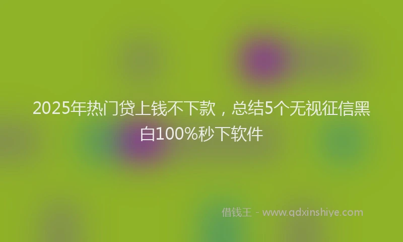 2025年热门贷上钱不下款，总结5个无视征信黑白100%秒下软件