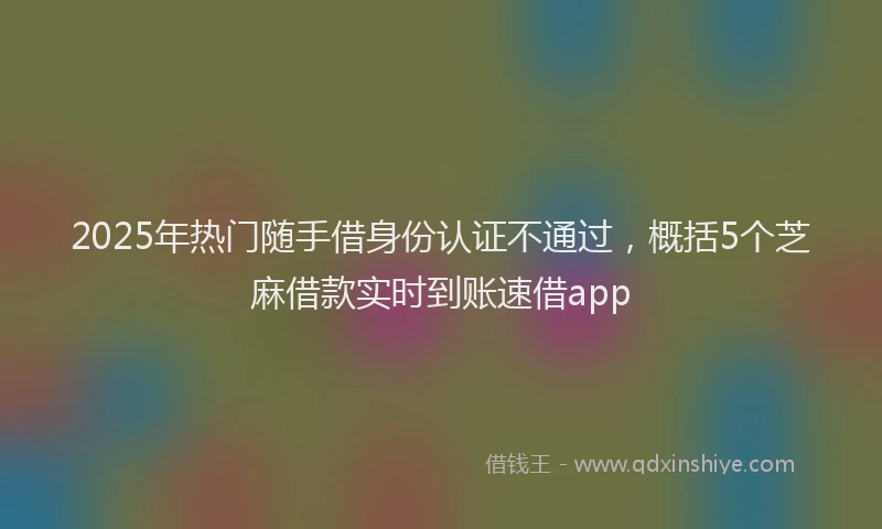 2025年热门随手借身份认证不通过，概括5个芝麻借款实时到账速借app