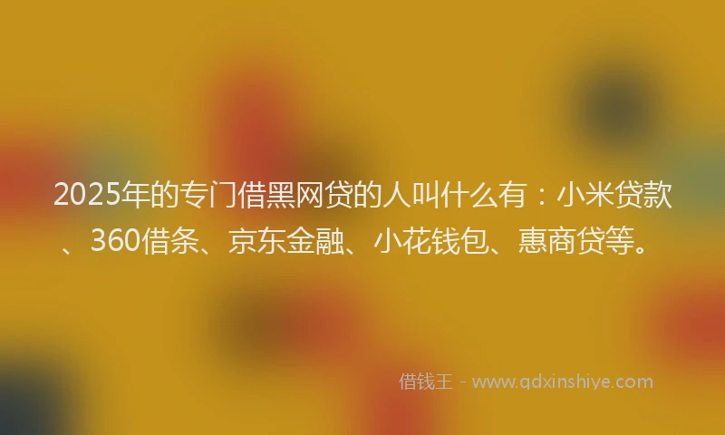 2025年的专门借黑网贷的人叫什么有：小米贷款、360借条、京东金融、小花钱包、惠商贷等。