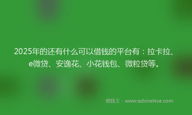 2025年的还有什么可以借钱的平台有：拉卡拉、e微贷、安逸花、小花钱包、微粒贷等。