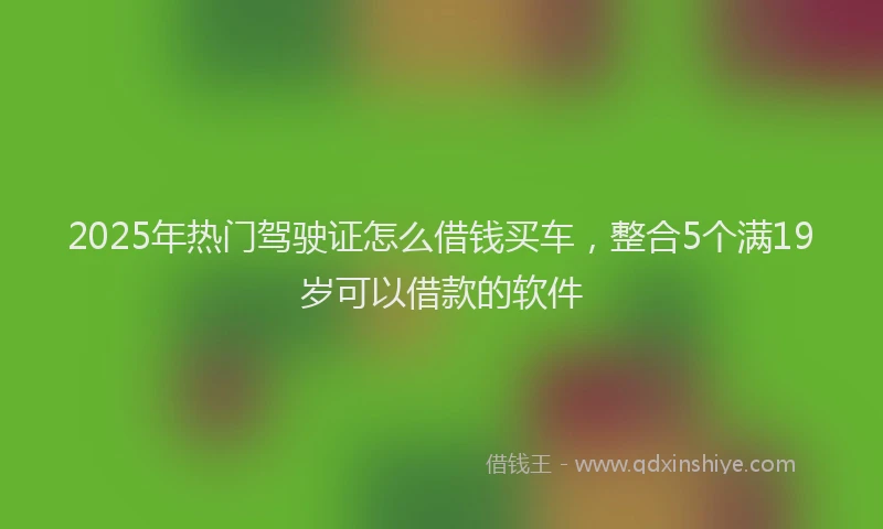 2025年热门驾驶证怎么借钱买车，整合5个满19岁可以借款的软件