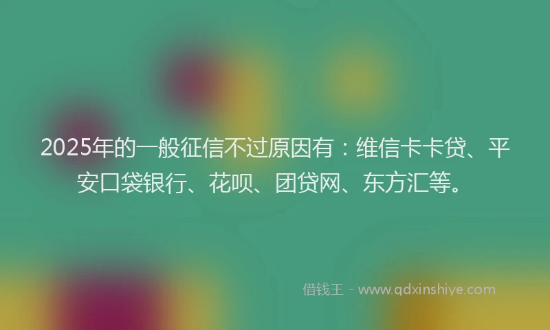 2025年的一般征信不过原因有：维信卡卡贷、平安口袋银行、花呗、团贷网、东方汇等。