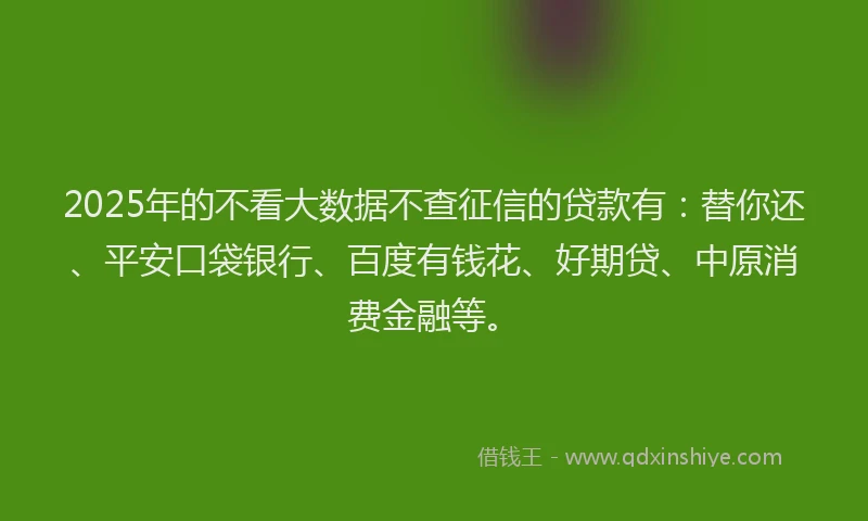 2025年的不看大数据不查征信的贷款有：替你还、平安口袋银行、百度有钱花、好期贷、中原消费金融等。