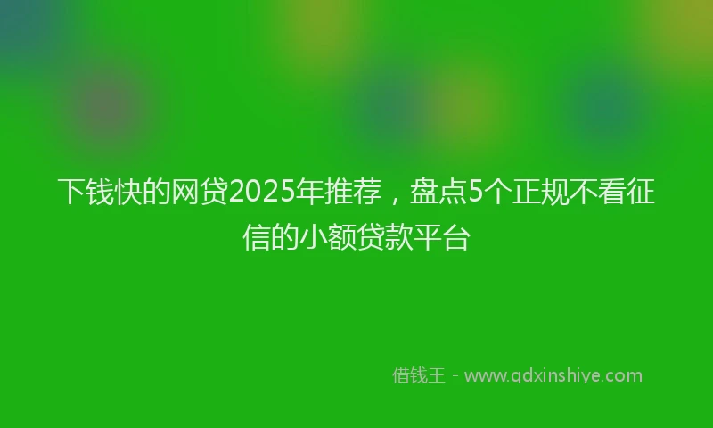 下钱快的网贷2025年推荐，盘点5个正规不看征信的小额贷款平台