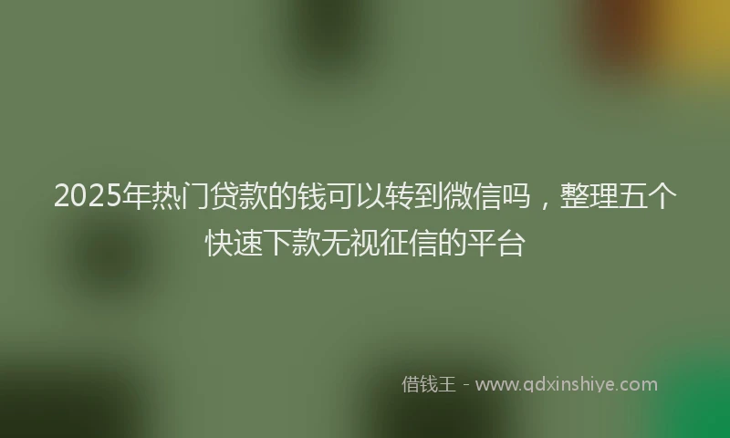 2025年热门贷款的钱可以转到微信吗，整理五个快速下款无视征信的平台