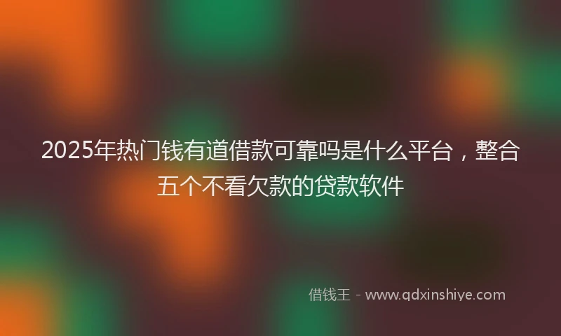 2025年热门钱有道借款可靠吗是什么平台，整合五个不看欠款的贷款软件
