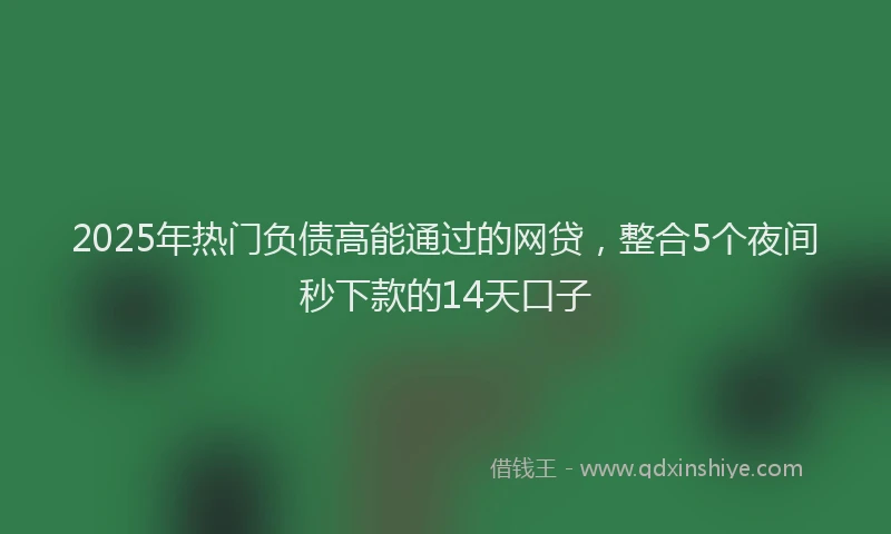 2025年热门负债高能通过的网贷，整合5个夜间秒下款的14天口子