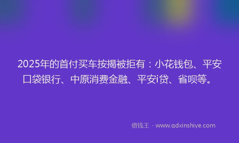 2025年的首付买车按揭被拒有：小花钱包、平安口袋银行、中原消费金融、平安i贷、省呗等。