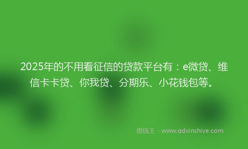 2025年的不用看征信的贷款平台有：e微贷、维信卡卡贷、你我贷、分期乐、小花钱包等。