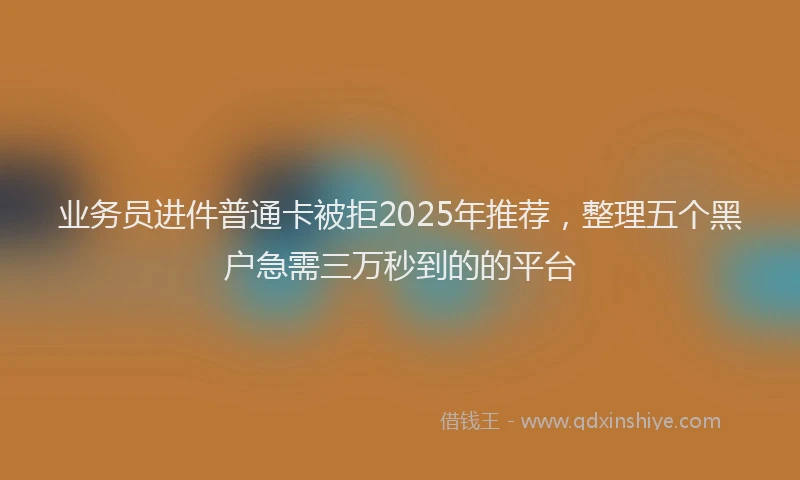 业务员进件普通卡被拒2025年推荐，整理五个黑户急需三万秒到的的平台