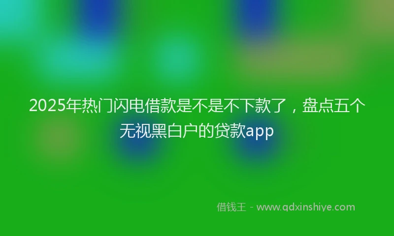 2025年热门闪电借款是不是不下款了，盘点五个无视黑白户的贷款app