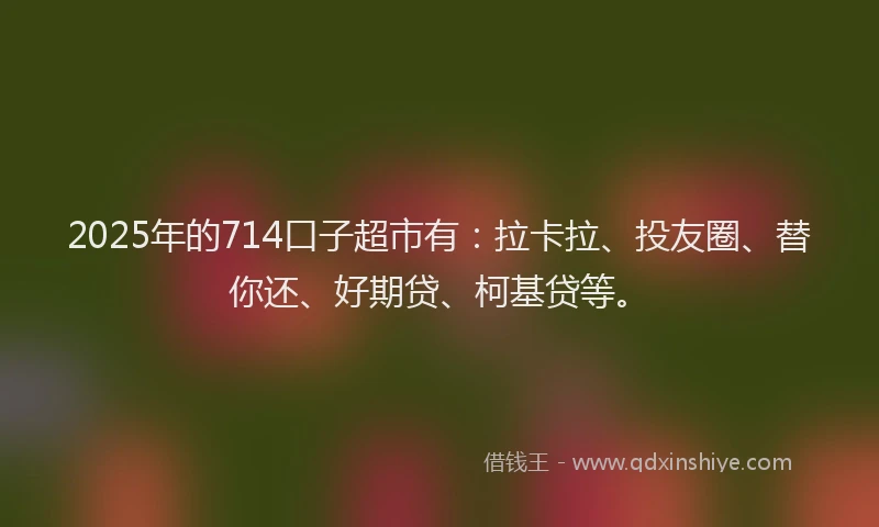 2025年的714口子超市有：拉卡拉、投友圈、替你还、好期贷、柯基贷等。