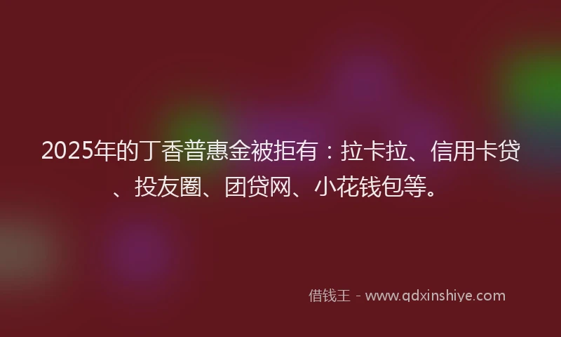 2025年的丁香普惠金被拒有：拉卡拉、信用卡贷、投友圈、团贷网、小花钱包等。