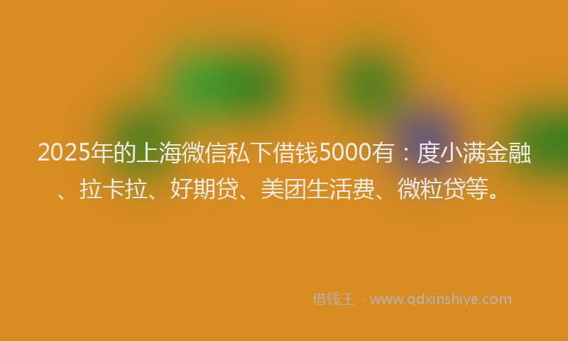 2025年的上海微信私下借钱5000有：度小满金融、拉卡拉、好期贷、美团生活费、微粒贷等。