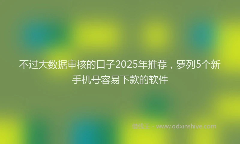 不过大数据审核的口子2025年推荐，罗列5个新手机号容易下款的软件