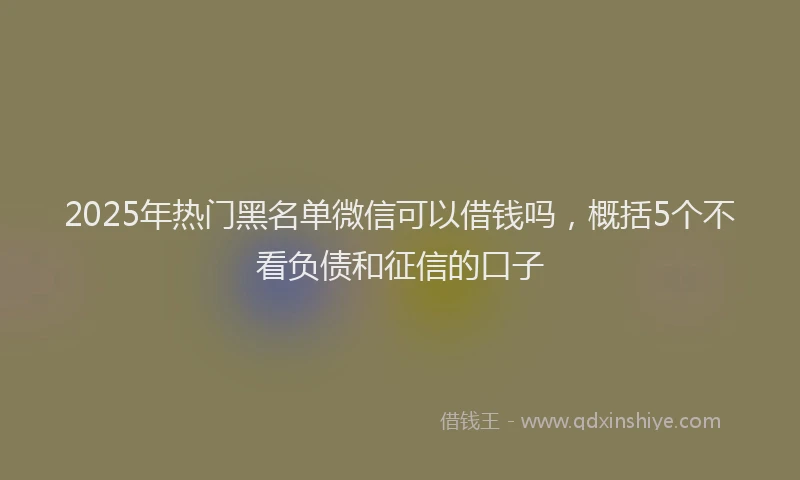 2025年热门黑名单微信可以借钱吗，概括5个不看负债和征信的口子