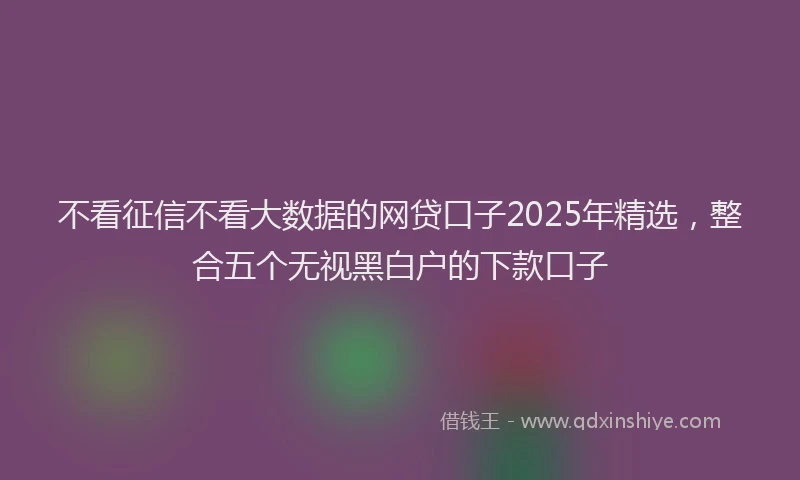 不看征信不看大数据的网贷口子2025年精选，整合五个无视黑白户的下款口子
