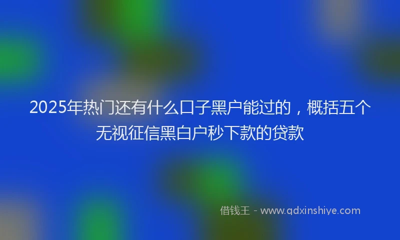 2025年热门还有什么口子黑户能过的，概括五个无视征信黑白户秒下款的贷款