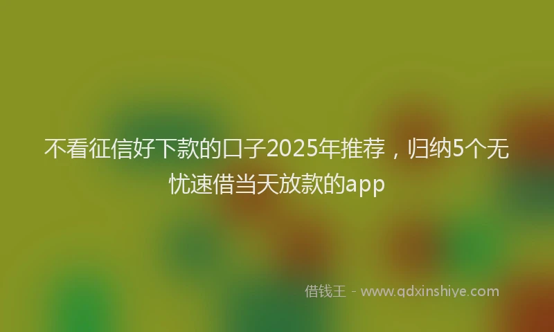 不看征信好下款的口子2025年推荐，归纳5个无忧速借当天放款的app