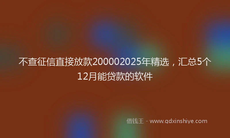 不查征信直接放款200002025年精选，汇总5个12月能贷款的软件