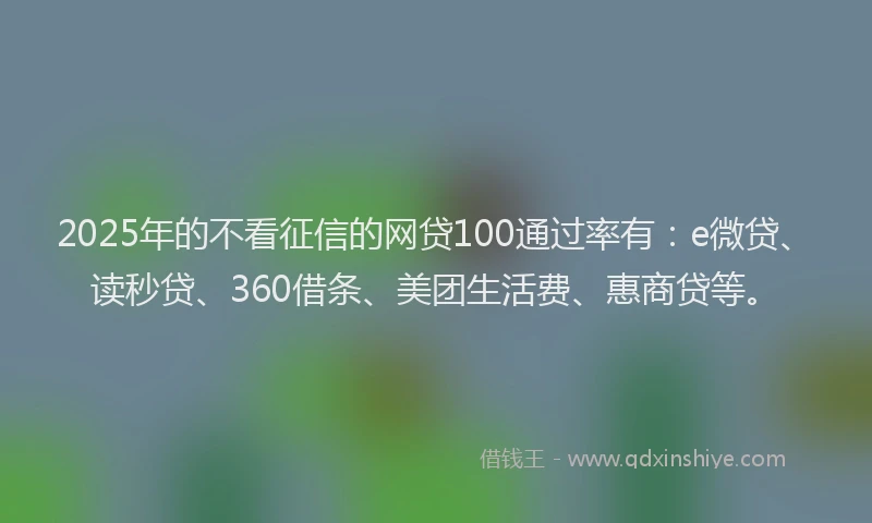 2025年的不看征信的网贷100通过率有：e微贷、读秒贷、360借条、美团生活费、惠商贷等。